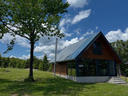 Poiana Vadului House | Cabana din deal