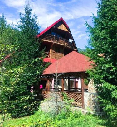Pietroasa House | Cabana Diorrys