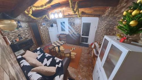 Lupeni House | Cabana Floare