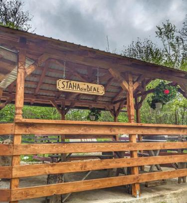 Provita de Sus House | Cabana „Stâna din Deal”