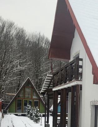 Valiug House | Cabana Vânătorilor A Frame Green