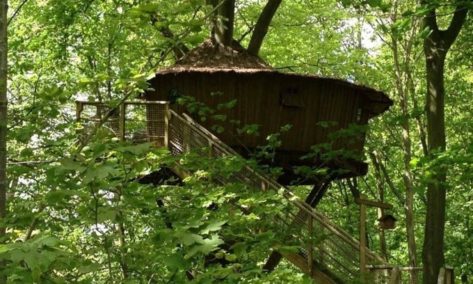 Port-le-Grand Cabin | Cabane 3 étoiles - Piscine - ccbbifi