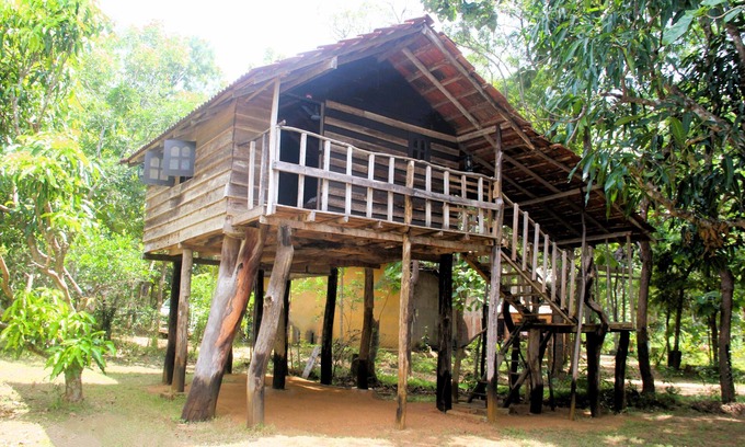 Habarana Cabin | Cabin 2 Twin Beds - Eagles Wing's Guest House