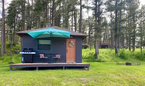 Rapid City House | Cabin 3 at Horse Creek Resort