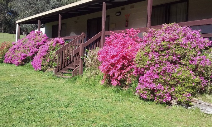 Jamieson Cabin | Cabin 3-Emerald Park