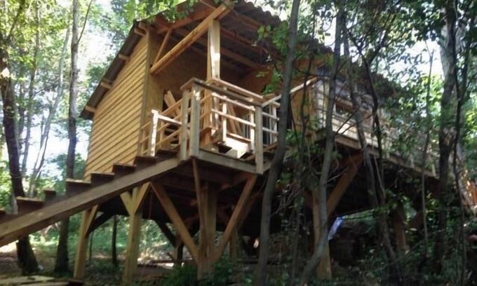 Cervione Cabin | cabin among the trees