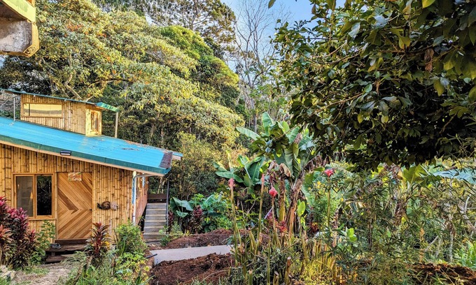 Santiago Cabin | Cabin next to the forest with mountain view