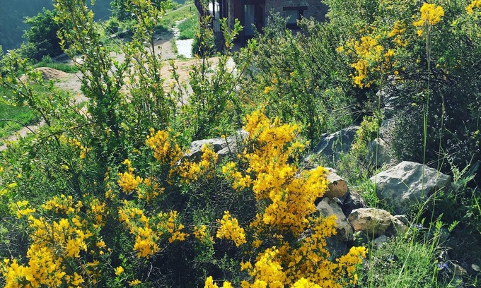 Cava House | Cal Baridà