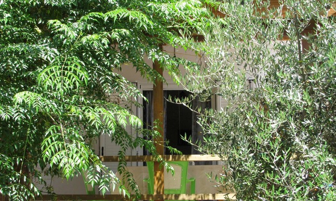 Kakovatos House | Calm located, amid an olive grove, close to the beach, wifi | holiday house Ilia