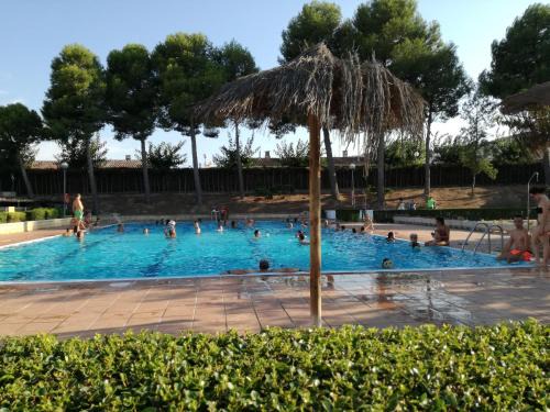 Faio Other | Camping Fayón Fishing
