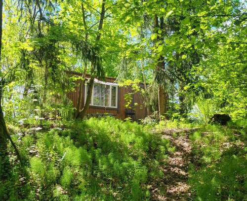 Krustini House | Camping House Aivari