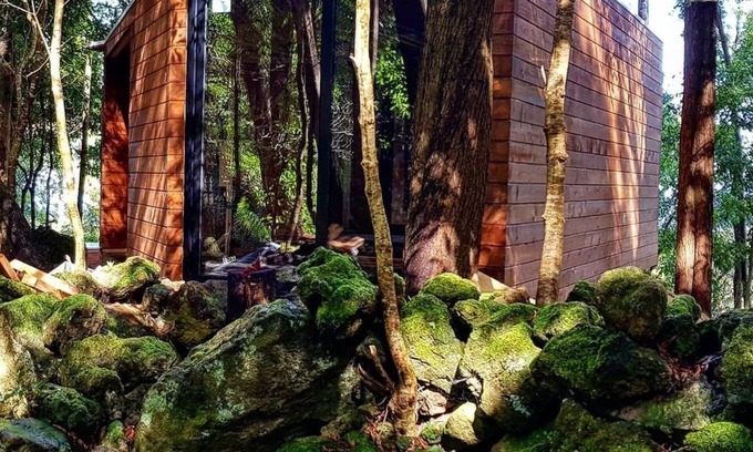 Biscoitos Cabin | Caparica Azores Ecolodge