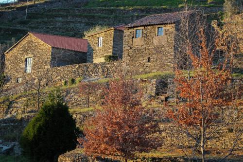 Mesao Frio House | Cardenha do Douro