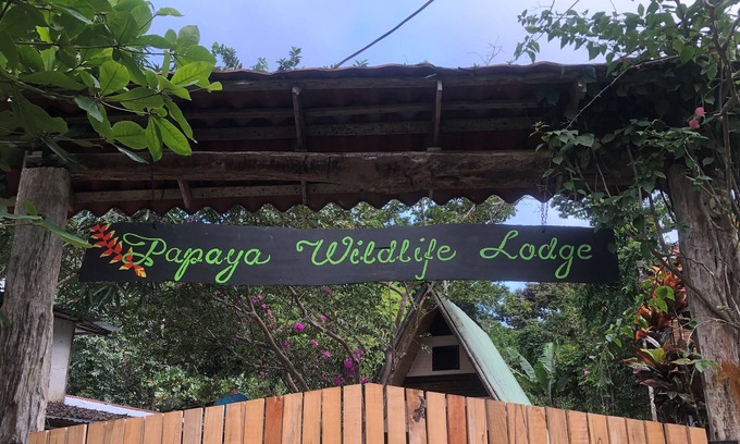 Cahuita House | Caribbean Experience