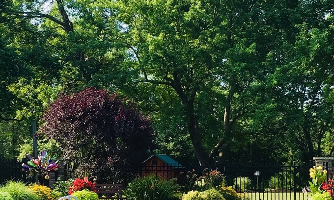 Crittenden House | Carols Country Inn Buffalo,NY