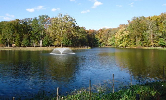 Carteret Hotel | Carteret Getaway! 2 Pet-friendly Units, Free Parking, Onsite Bar, Near The Mills