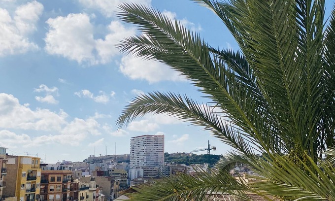 San Anton Apartment | Casa 349h city centre apartments Alicante (ground floor)