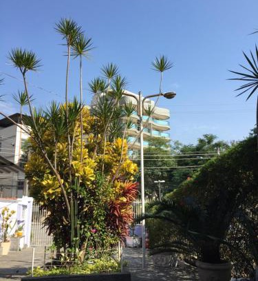 Vila Valqueire House | Casa aconchegante em Vila Valqueire