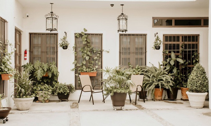 Zona Centro Apartment | Casa Allende