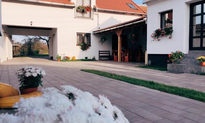 Salasu de Jos House | Casa Badea