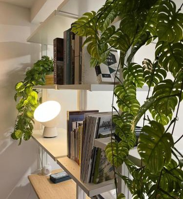 Citta Alta House | CASA BIA