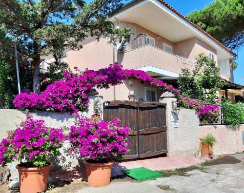 Porto Pozzo Apartment | Casa Boutique Angelika