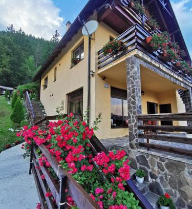 Lacu Rosu House | Casa Codrilor