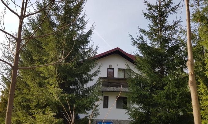 Provita de Jos House | Casa cu brazi