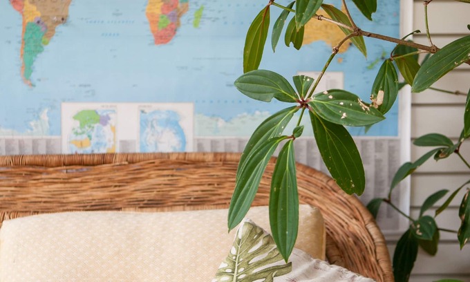 Mandeville Apartment | Casa da Buena Vista Apt 2, |4 Mins from NCU/town | Business Traveller Ready
