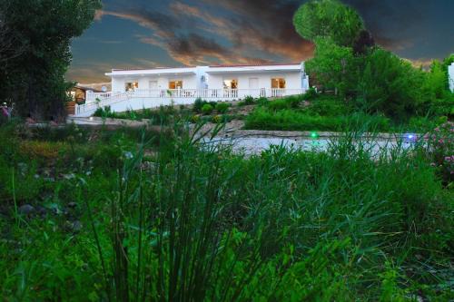Campo Maior House | Casa da Ribeira