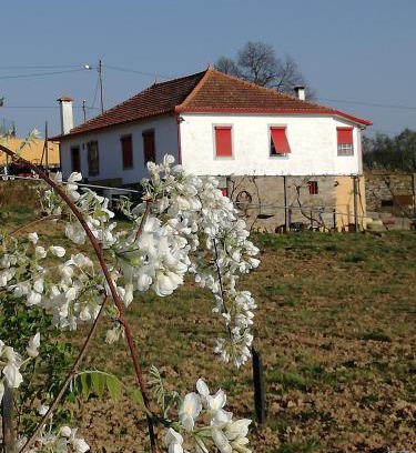 Peso da Regua House | Casa da Vinha Grande