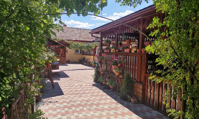 Hateg House | Casa Dana
