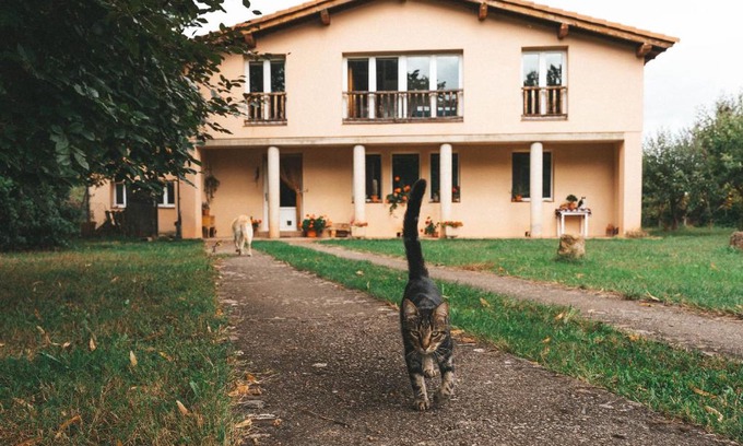 Estollo House | Casa de Campo La Solana