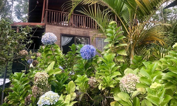 San Gerardo de Dota House | Casa de Nubes (The Cloud House)