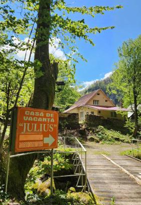 Pietroasa Cabin | Casa de vacanta Julius