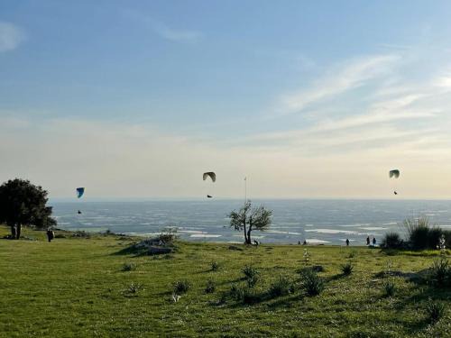 Norma Apartment | Casa dell'Antica Norba, Norma - big house