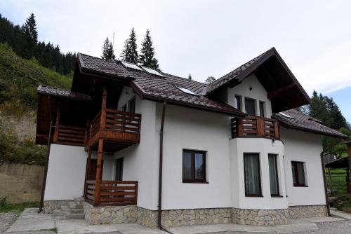 Ciocanesti Ski Chalet | Casa Diaconu