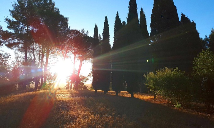Lorenzana Bed & Breakfast | Casa Divina B&B - PISA - TUSCANY - YOGA NATURE Plant based - DEVOTION ROOM