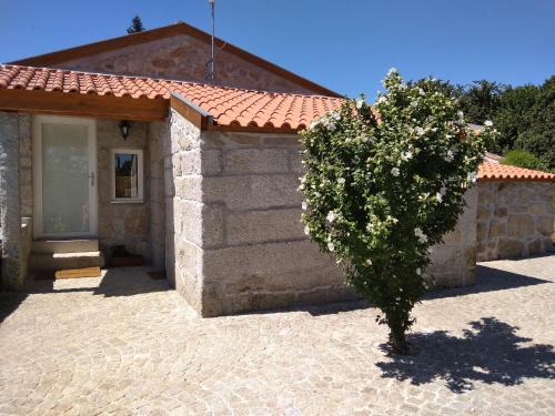 Viseu Cabin | Casa do Forno, Viseu