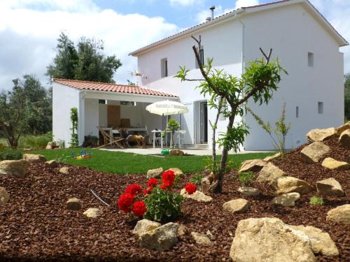 Figueiro dos Vinhos House | Casa do Olival