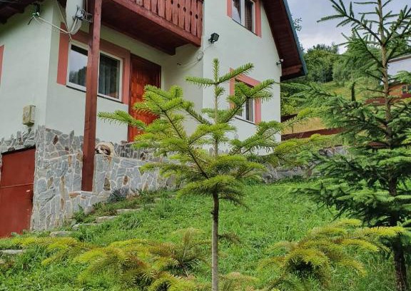 Rucar Cabin | Casa Dor de Ea