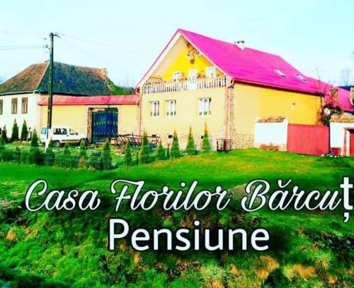 Soars House | Casa Florilor Barcut