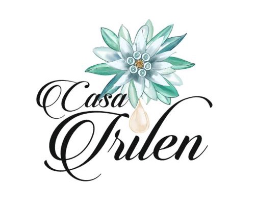 Manastirea Humorului House | Casa Irilen