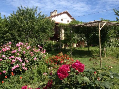 Vaglio Serra House | Casa Isabella