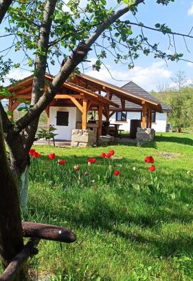 Tirgu Ocna House | Casa Livada Bunicii