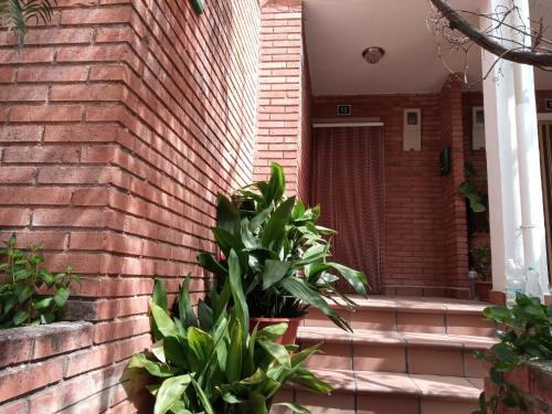 Siles House | Casa Los Pinos