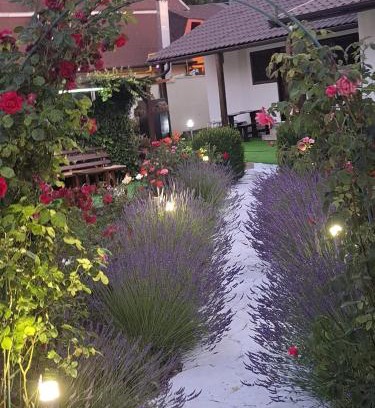 Jupiter House | CASA MARIA