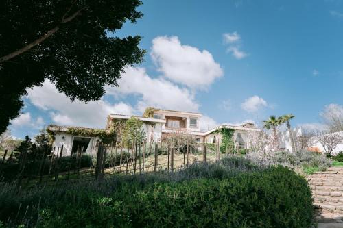 San Antonio de las Minas House | Casa Marieta