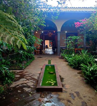 Coatepec House | Casa Morfo Cultura