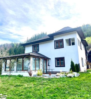 Pojorita House | Casa Ovidiu